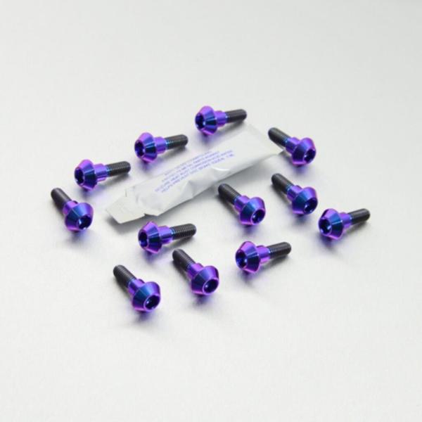 PRO BOLT プロボルト ディスクボルト カラー：パープル GSX-R1000 K9-L1 L2...