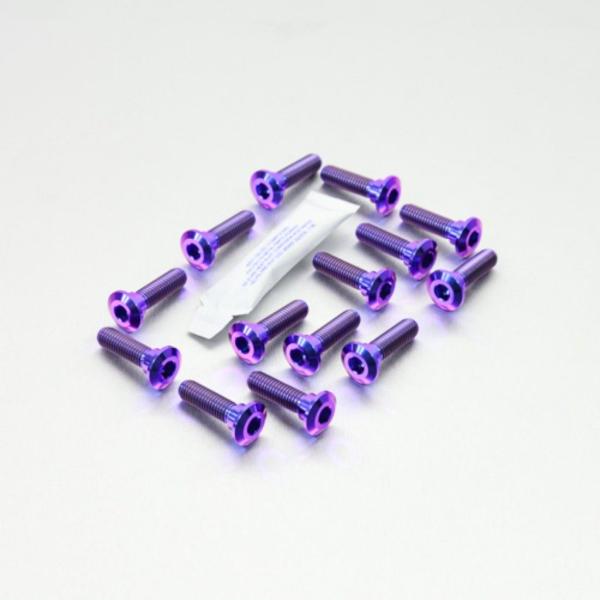 PRO BOLT プロボルト ディスクボルト カラー：パープル KAWASAKI カワサキ ローター...