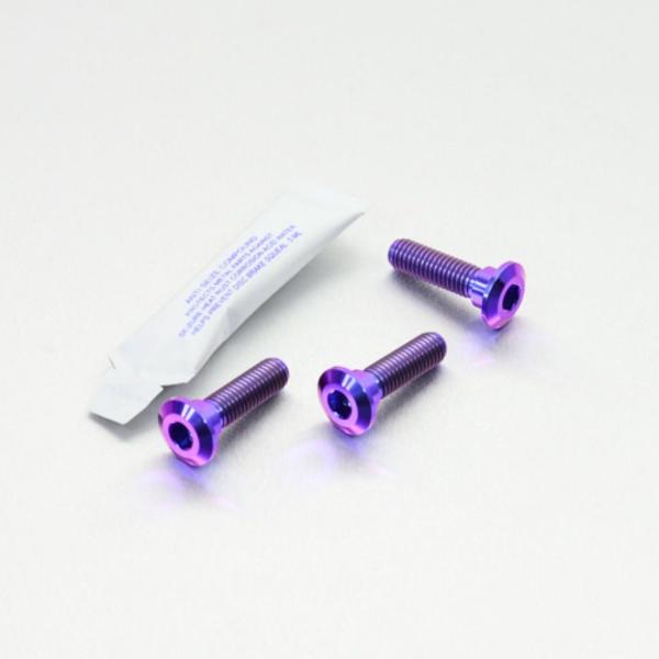 PRO BOLT プロボルト ディスクボルト カラー：パープル Ninja 250 SL 300 4...