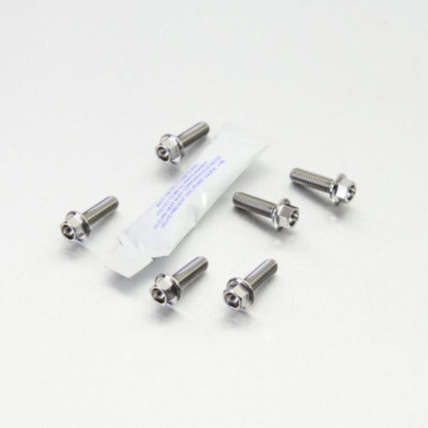 PRO BOLT プロボルト ディスクボルト カラー：ナチュラル RS4 50 Tuono 125 ...