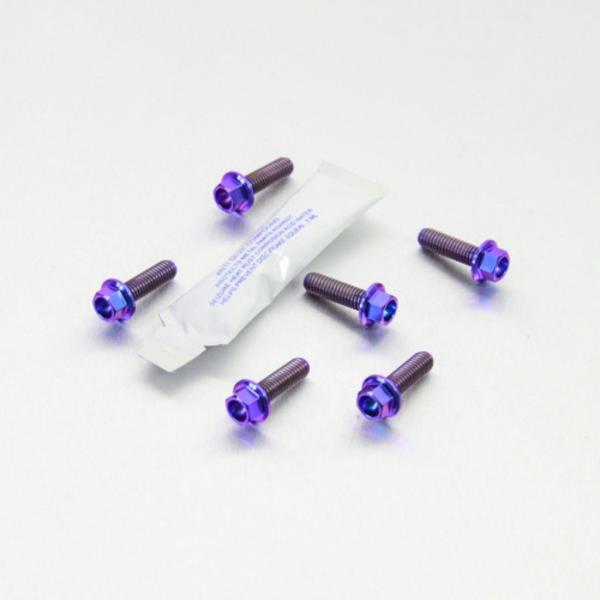 PRO BOLT プロボルト ディスクボルト カラー：パープル RS4 50 Tuono 125 1...