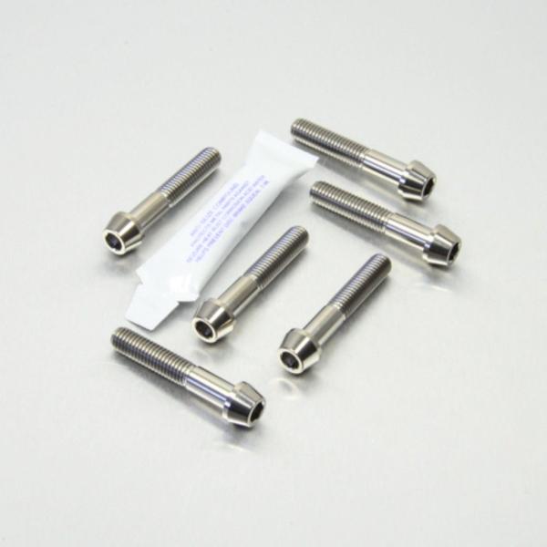 PRO BOLT プロボルト フロントキャリパーピンチボルトセット カラー：ナチュラル S1000R...
