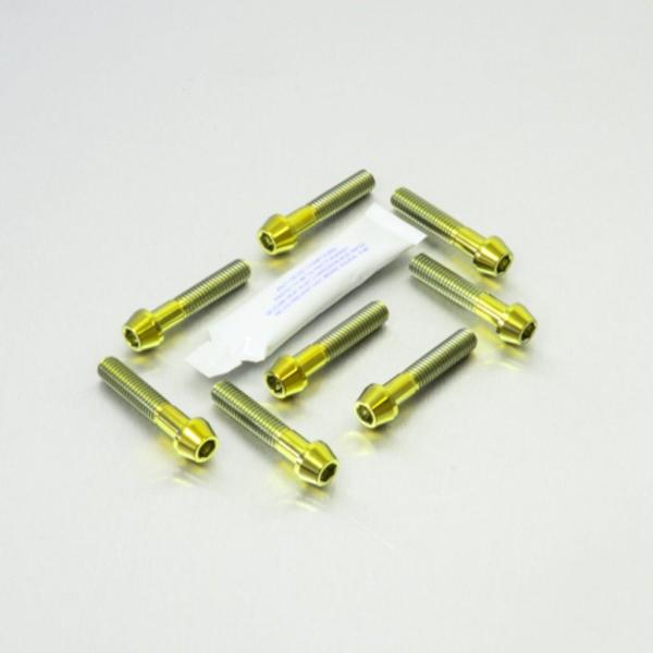 PRO BOLT プロボルト フロントキャリパーピンチボルトセット カラー：ゴールド APRILIA...