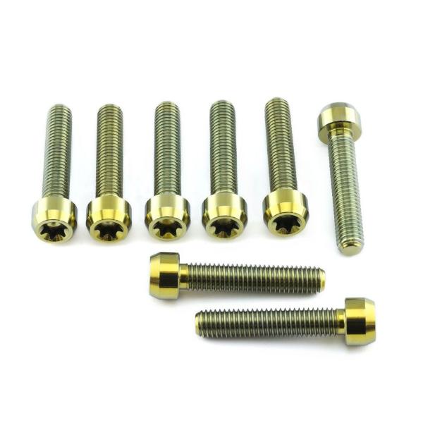 PRO BOLT プロボルト フロントキャリパーピンチボルトセット カラー：ゴールド APRILIA...