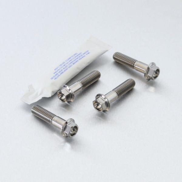 PRO BOLT プロボルト フロントブレーキキャリパーマウンティングボルトキット カラー：ナチュラ...