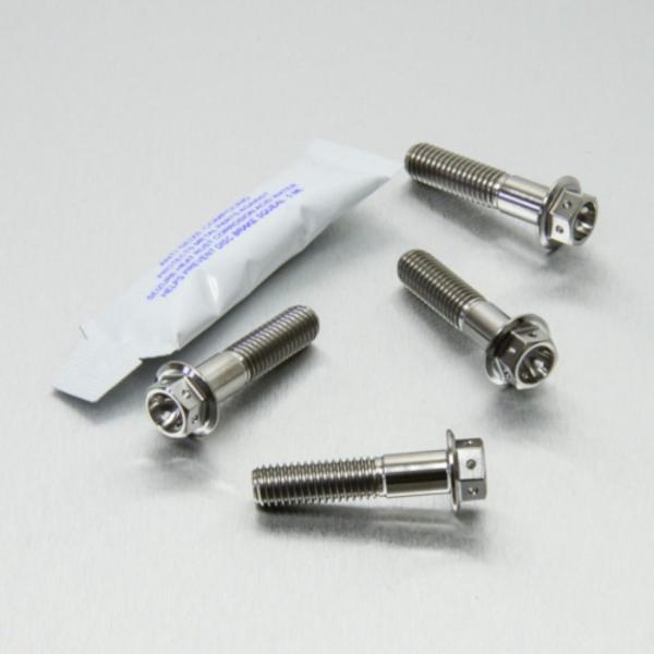 PRO BOLT プロボルト フロントブレーキキャリパーマウンティングボルトキット カラー：ナチュラ...