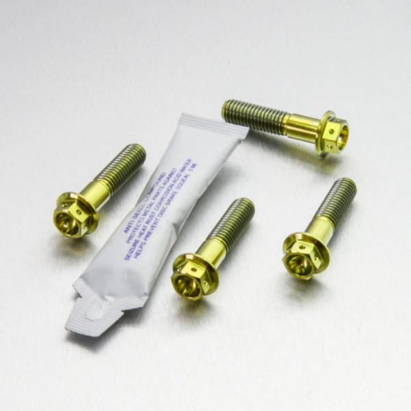 PRO BOLT プロボルト フロントブレーキキャリパーマウンティングボルトキット カラー：ゴールド...