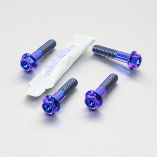 PRO BOLT プロボルト フロントブレーキキャリパーマウンティングボルトキット カラー：パープル...
