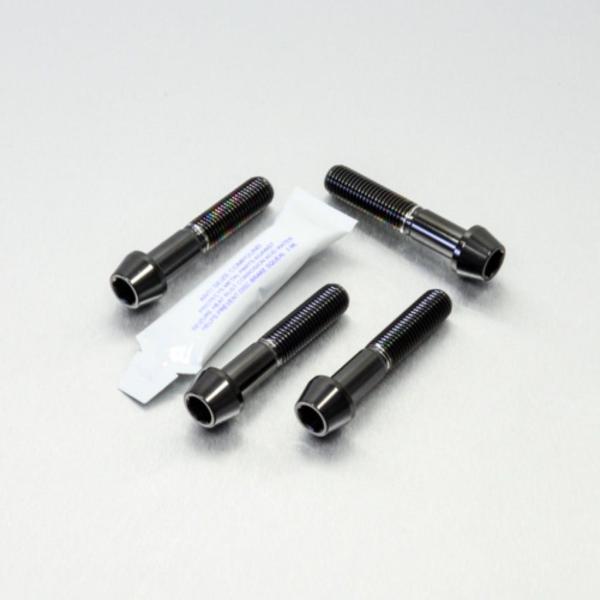 PRO BOLT プロボルト フロントブレーキキャリパーマウンティングボルトキット カラー：ブラック...