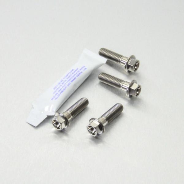 PRO BOLT プロボルト フロントブレーキキャリパーマウンティングボルトキット カラー：ナチュラ...