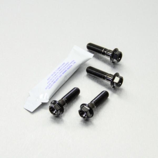 PRO BOLT プロボルト フロントブレーキキャリパーマウンティングボルトキット カラー：ブラック...