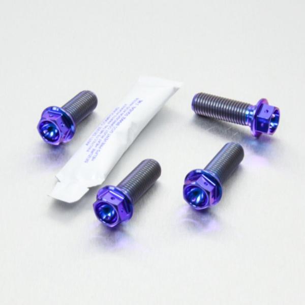 PRO BOLT プロボルト フロントブレーキキャリパーマウンティングボルトキット カラー：パープル...