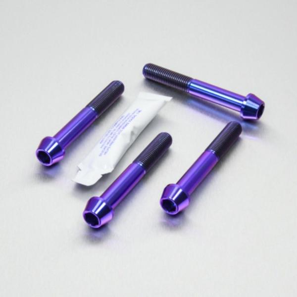PRO BOLT プロボルト フロントブレーキキャリパーマウンティングボルトキット カラー：パープル...
