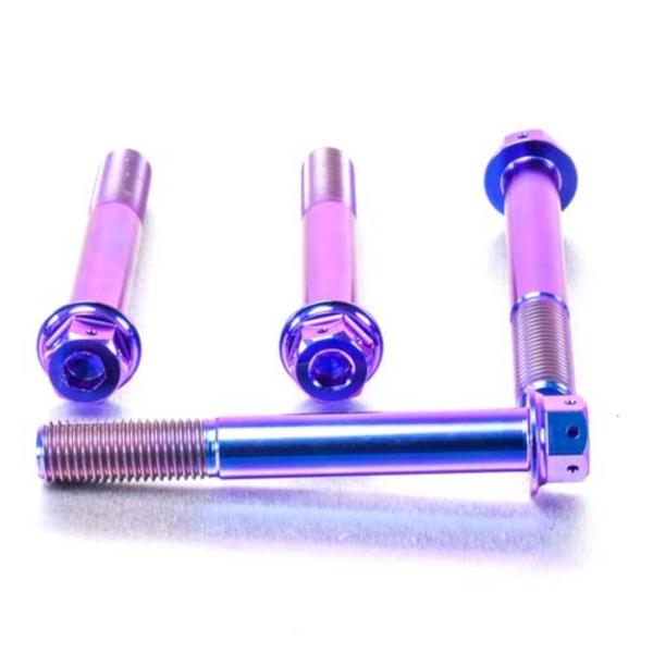 PRO BOLT プロボルト フロントブレーキキャリパーマウンティングボルトキット カラー：パープル...