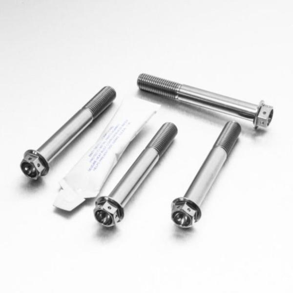 PRO BOLT プロボルト フロントブレーキキャリパーマウンティングボルトキット カラー：ナチュラ...