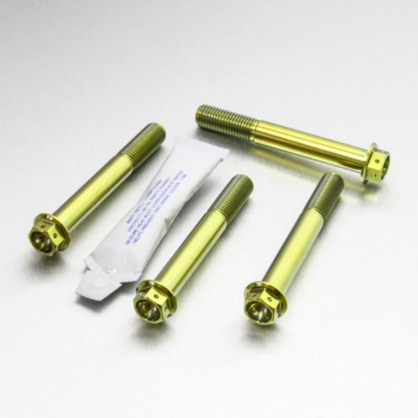 PRO BOLT プロボルト フロントブレーキキャリパーマウンティングボルトキット カラー：ゴールド...