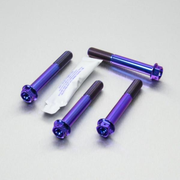 PRO BOLT プロボルト フロントブレーキキャリパーマウンティングボルトキット カラー：パープル...