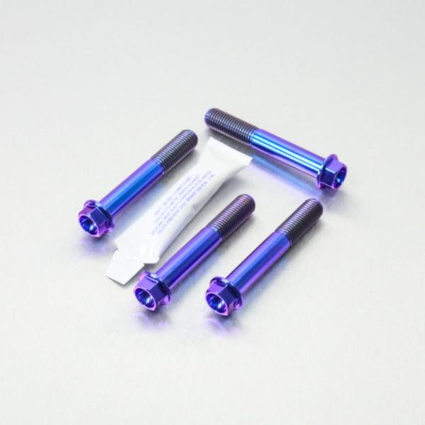 PRO BOLT プロボルト フロントブレーキキャリパーマウンティングボルトキット カラー：パープル...