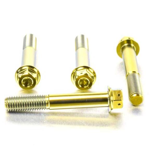 PRO BOLT プロボルト フロントブレーキキャリパーマウンティングボルトキット カラー：ゴールド...