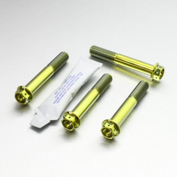 PRO BOLT プロボルト フロントブレーキキャリパーマウンティングボルトキット カラー：ゴールド...