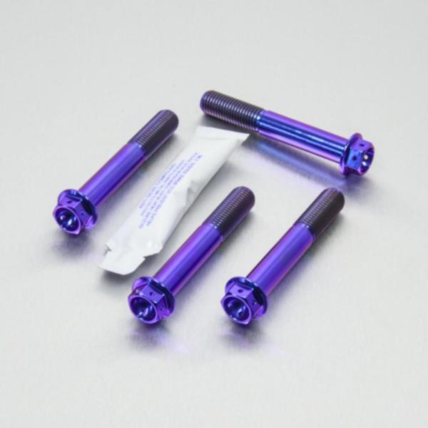 PRO BOLT プロボルト フロントブレーキキャリパーマウンティングボルトキット カラー：パープル...