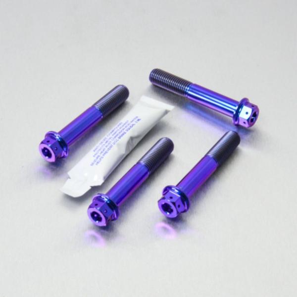 PRO BOLT プロボルト フロントブレーキキャリパーマウンティングボルトキット カラー：パープル...