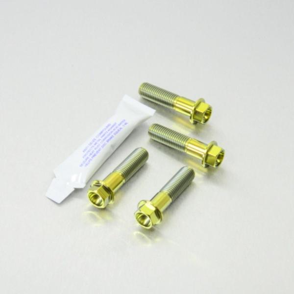 PRO BOLT プロボルト フロントブレーキキャリパーマウンティングボルトキット カラー：ゴールド...