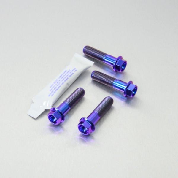 PRO BOLT プロボルト フロントブレーキキャリパーマウンティングボルトキット カラー：パープル...
