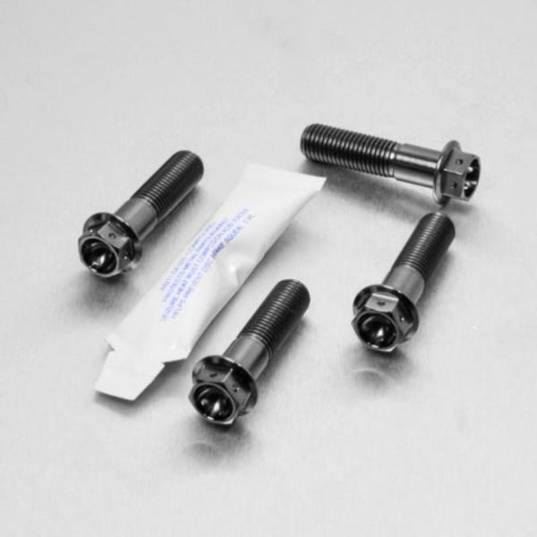 PRO BOLT プロボルト フロントブレーキキャリパーマウンティングボルトキット カラー：ブラック...