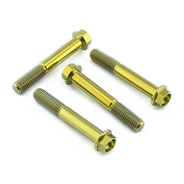 PRO BOLT プロボルト フロントブレーキキャリパーマウンティングボルトキット カラー：ゴールド...