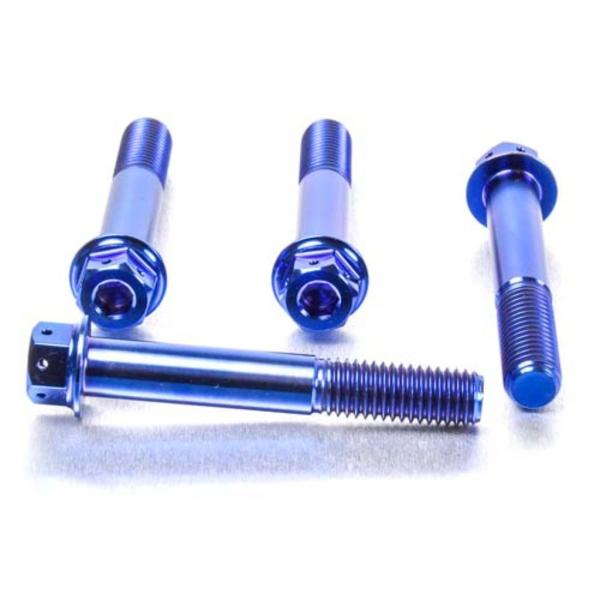 PRO BOLT プロボルト フロントブレーキキャリパーマウンティングボルトキット カラー：ブルー ...