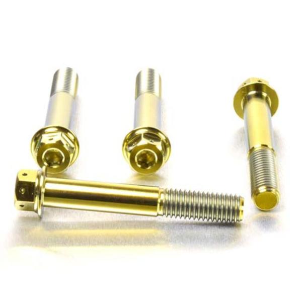 PRO BOLT プロボルト フロントブレーキキャリパーマウンティングボルトキット カラー：ゴールド...