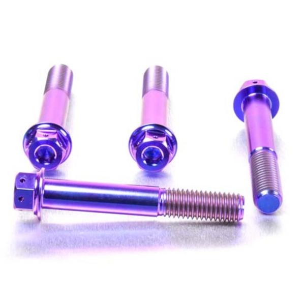 PRO BOLT プロボルト フロントブレーキキャリパーマウンティングボルトキット カラー：パープル...