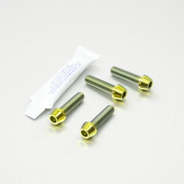 PRO BOLT プロボルト フロントブレーキキャリパーマウンティングボルトキット カラー：ゴールド...