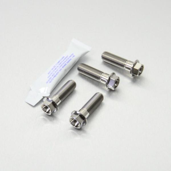 PRO BOLT プロボルト フロントブレーキキャリパーマウンティングボルトキット カラー：ナチュラ...