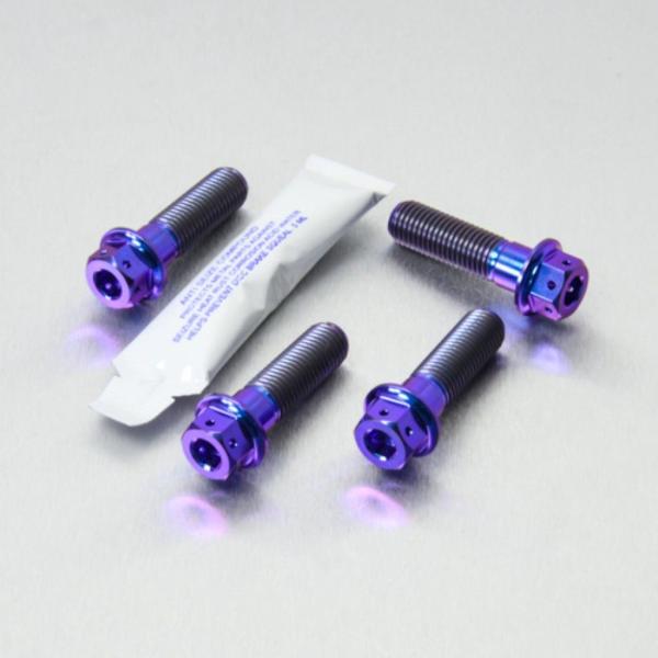 PRO BOLT プロボルト フロントブレーキキャリパーマウンティングボルトキット カラー：パープル...
