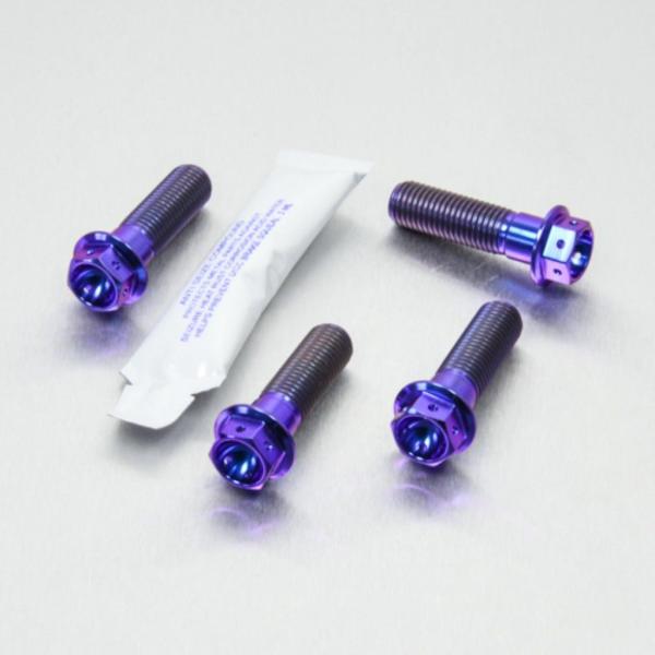 PRO BOLT プロボルト フロントブレーキキャリパーマウンティングボルトキット カラー：パープル...