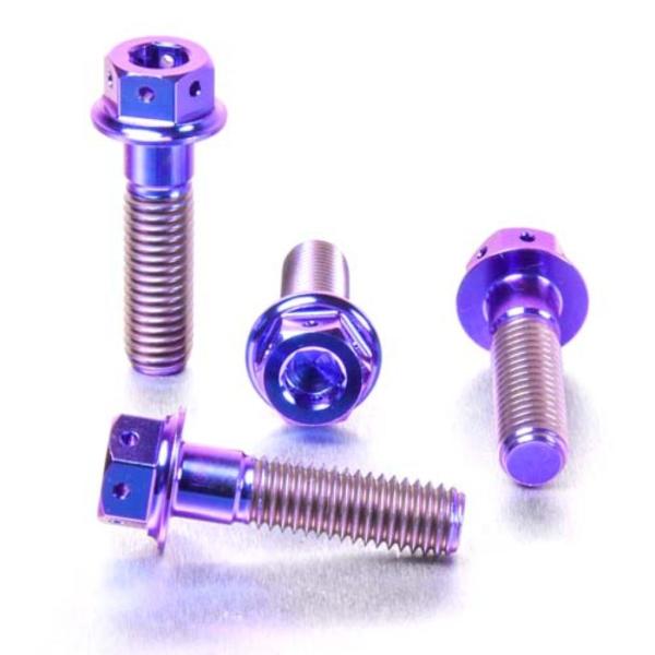 PRO BOLT プロボルト フロントブレーキキャリパーマウンティングボルトキット カラー：パープル...