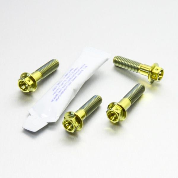 PRO BOLT プロボルト フロントブレーキキャリパーマウンティングボルトキット カラー：ゴールド...
