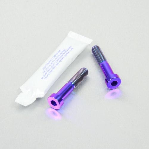 PRO BOLT プロボルト リアブレーキキャリパーピンチボルトセット カラー：パープル APRIL...