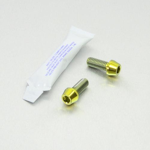 PRO BOLT プロボルト リアブレーキキャリパーマウンティングボルトキット カラー：ゴールド キ...
