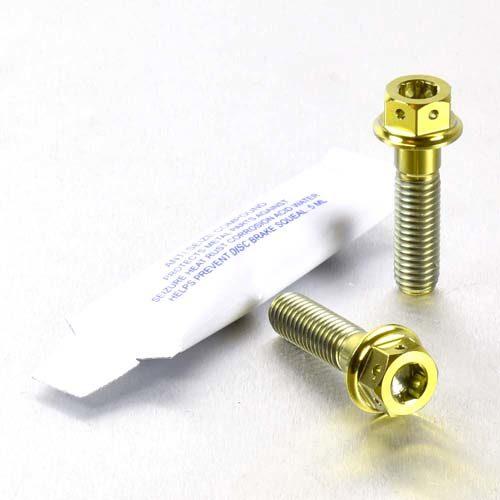 PRO BOLT プロボルト リアブレーキキャリパーマウンティングボルトキット カラー：ゴールド A...