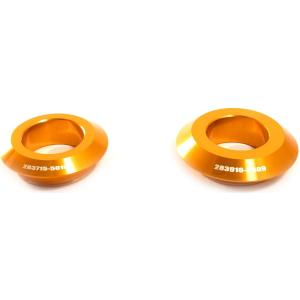 T-REV(寺本自動車商会) ティーレブ パフォーマンスカラー リアLR カラー：ゴールド GSX-...