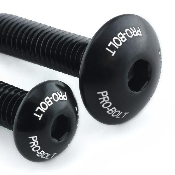 PRO BOLT プロボルト スクリーンボルト キット カラー：ブラック GTR1000 ZX-10...