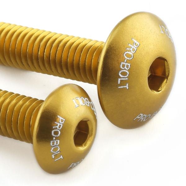 PRO BOLT プロボルト スクリーンボルト キット カラー：ゴールド GTR1000 ZX-10...