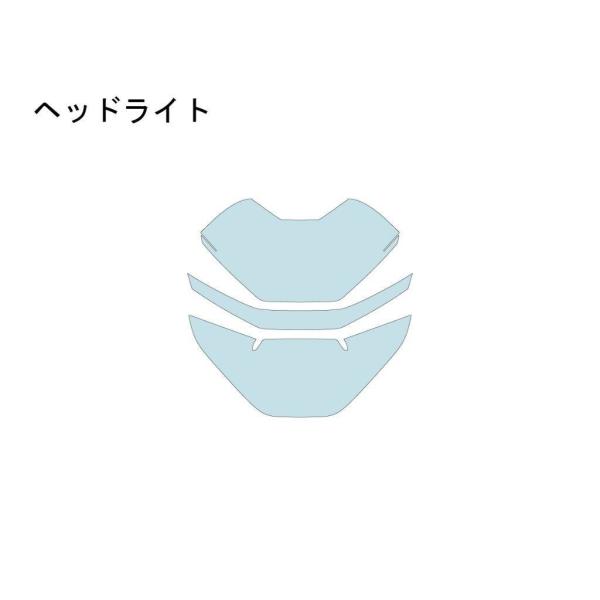 ECHELON エシュロン ヘッドライト【QUATECT】 F900R BMW プロテクションフィル...