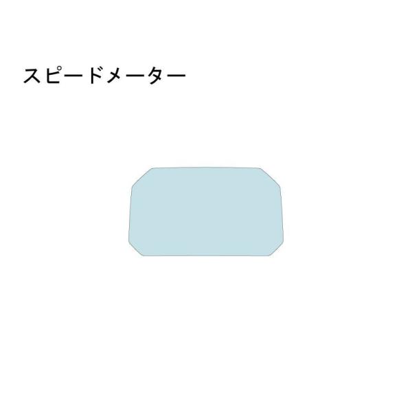 ECHELON エシュロン スピードメーター【QUATECT】 F900R BMW プロテクションフ...