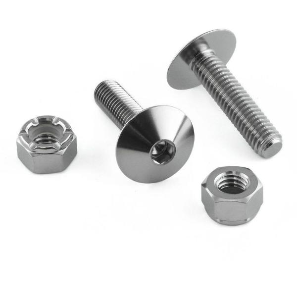 PRO BOLT プロボルト ナンバープレート キット カラー：ナチュラルチタン キャリパーボルト・...