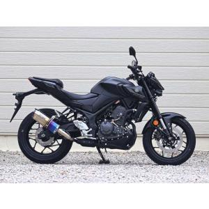 WR'S WR'S ダブルアールズ リアエキゾースト スリップオン