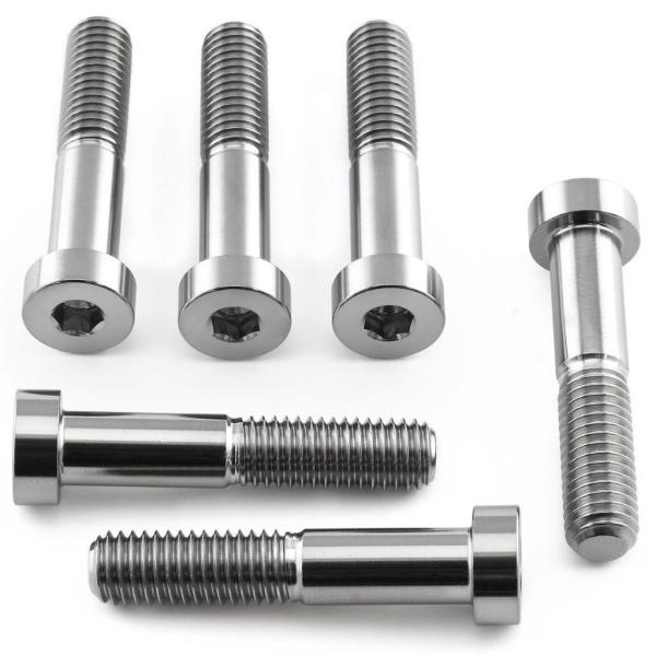 PRO BOLT プロボルト ブレンボ キャリパー ピンチ ボルト カラー：ナチュラルチタン ZX-...